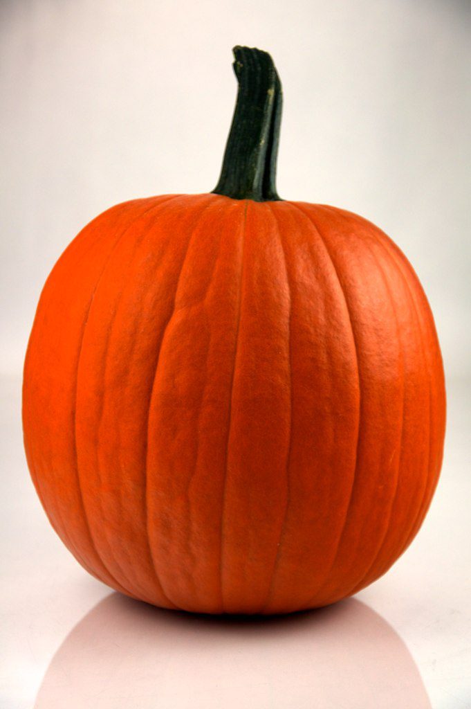 By Evan Swigart from Chicago, USA - Pumpkin 2, CC BY 2.0, https://commons.wikimedia.org/w/index.php?curid=11770399